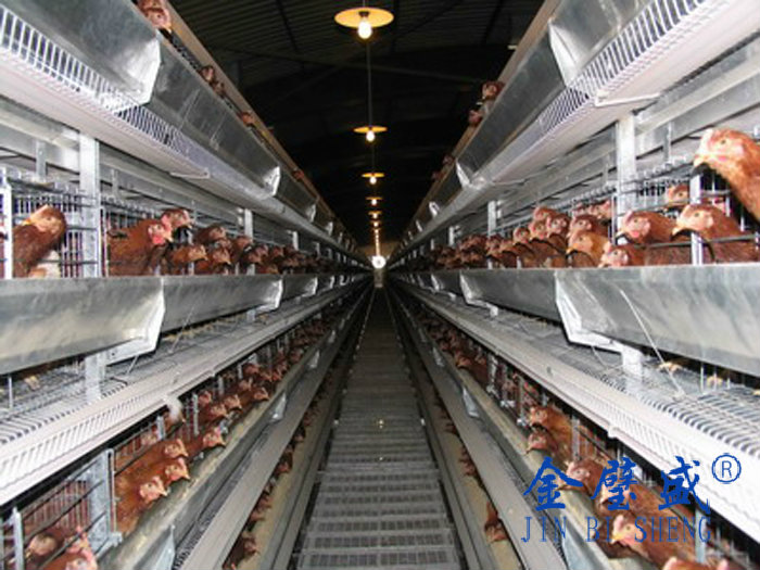 �ӯBʽ�B�u�O��-���u