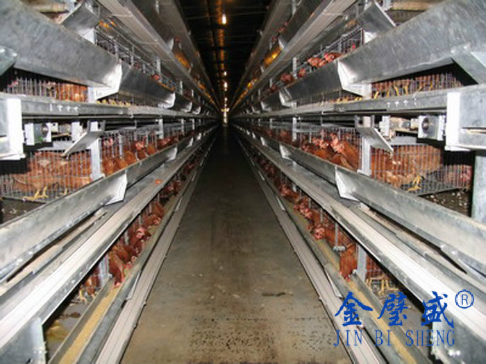 �ӯBʽ�B�u�O��-���u