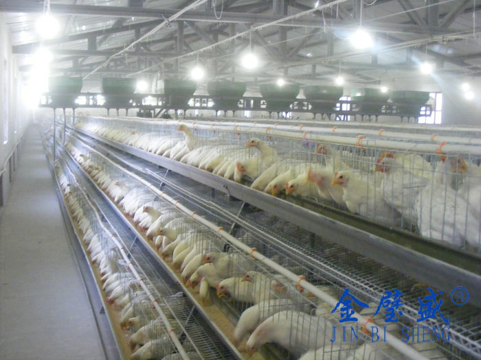 �A��ʽ�B�u�O��-���u