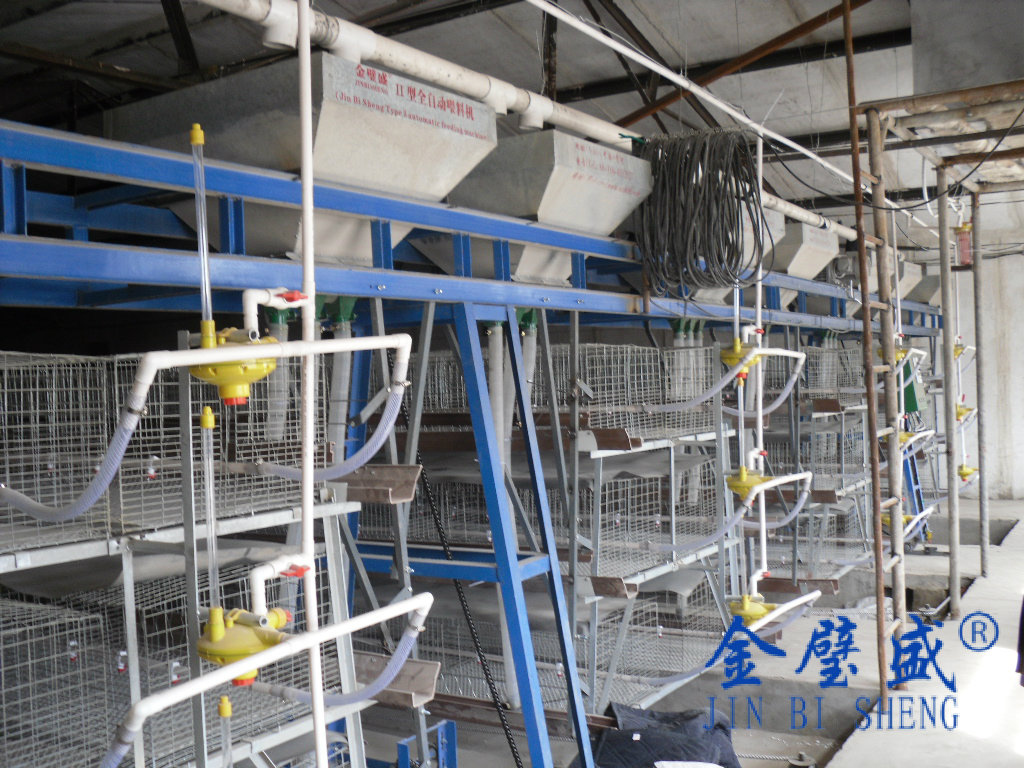 ���u�\�Bˮ��ι��