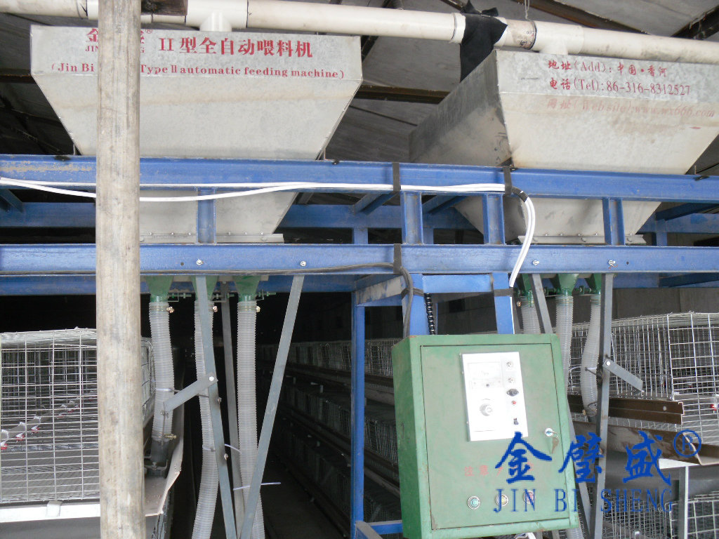 ���u�\�Bι��