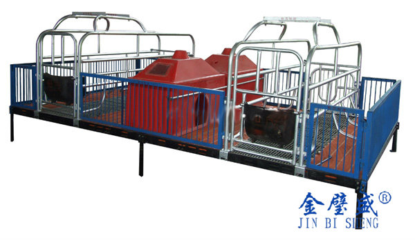 �B�i�O��10