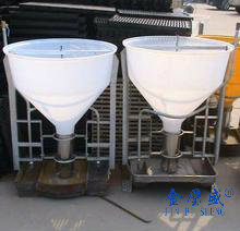 �B�i�O��13