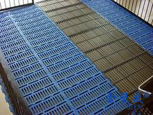 �B�i�O��14