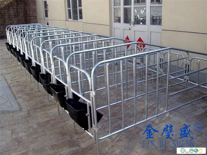 �B�i�O��15