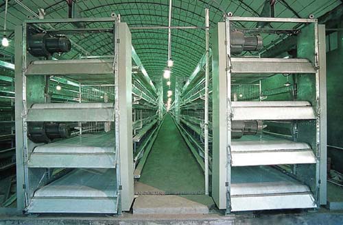 �Ԅ���Sϵ�y1