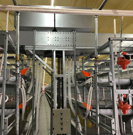 ���u�O���Q����