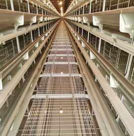 ���u�O���Q����