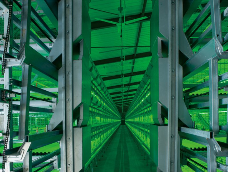 ȫ�Ԅ��B�u�O��-���u