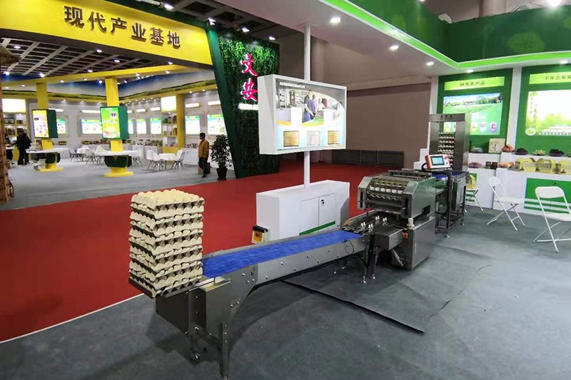 ȫ�Ԅӵ�Ʒ���b�O��