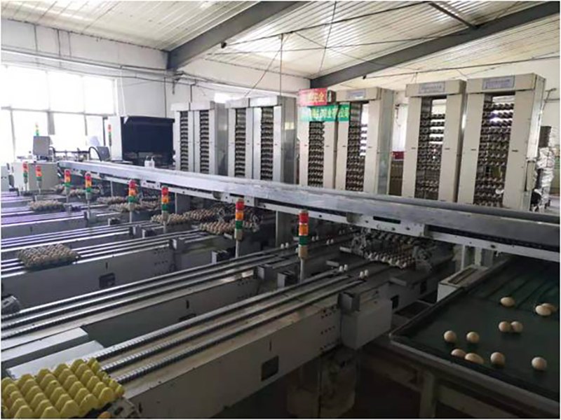 ȫ�Ԅӵ�Ʒ���b�O��