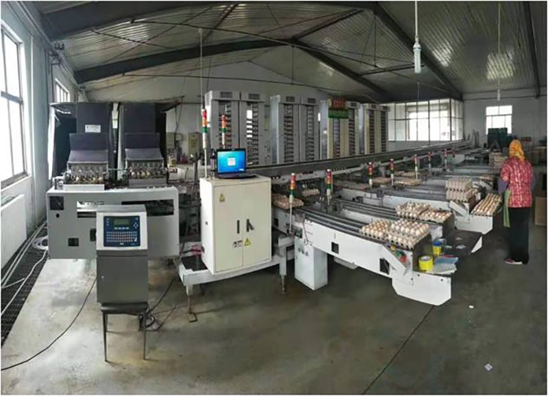 ȫ�Ԅӵ�Ʒ���b�O��