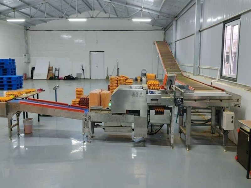 ������+�b�ЙC