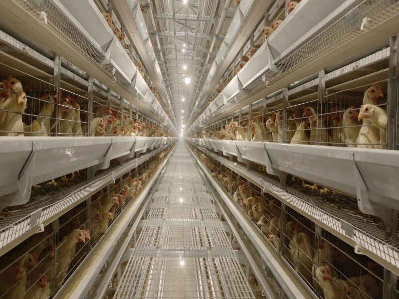 �ӯBʽ�B�u�O��-���u