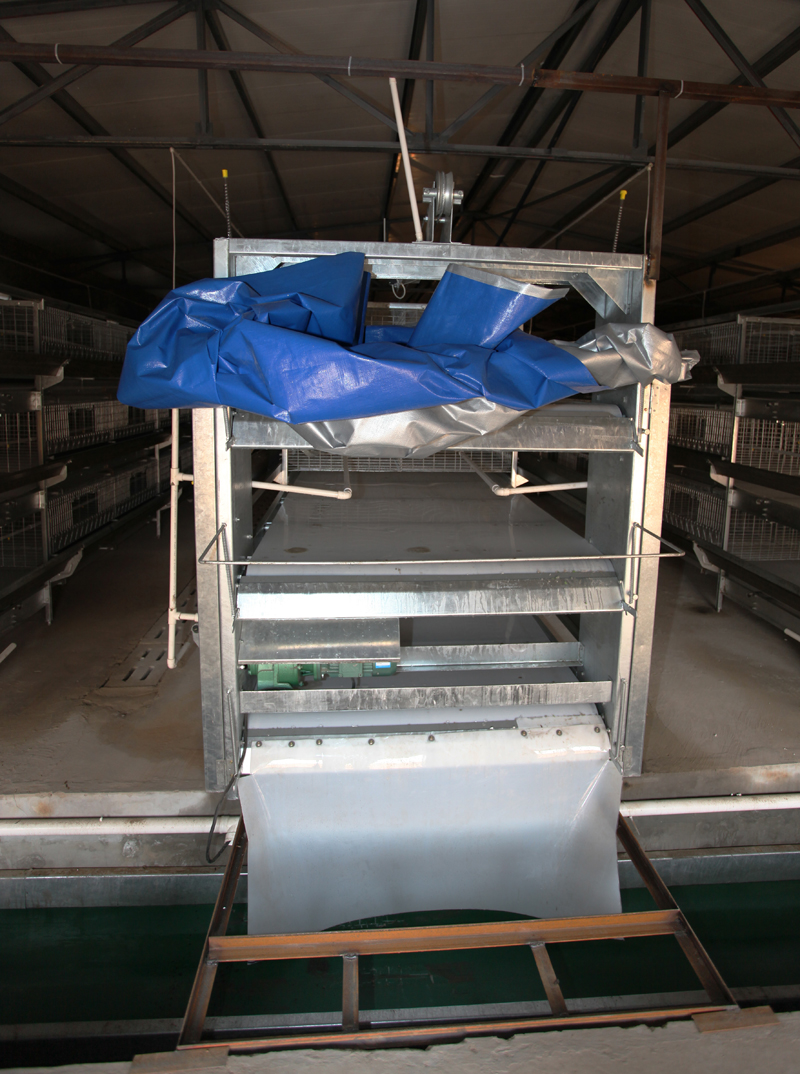 �Ԅ���Sϵ�y5