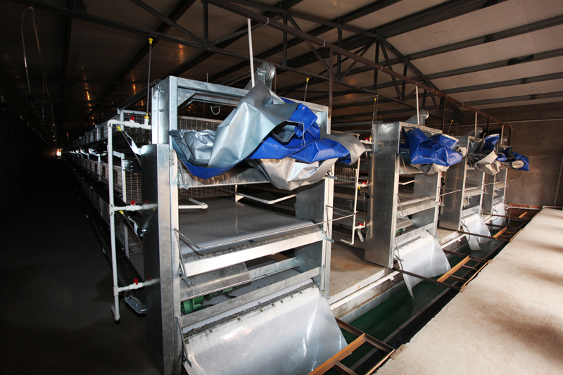 �Ԅ���Sϵ�y6