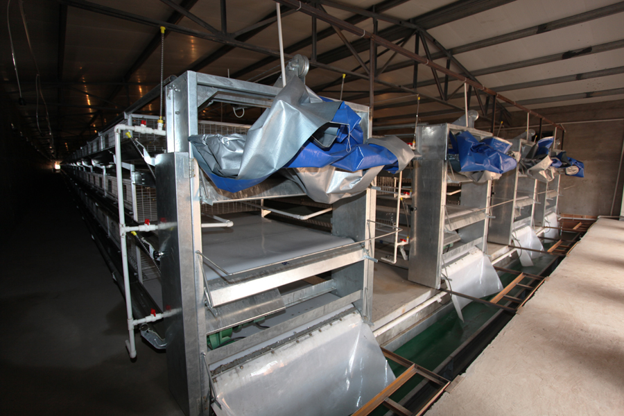 �Ԅ���Sϵ�y7