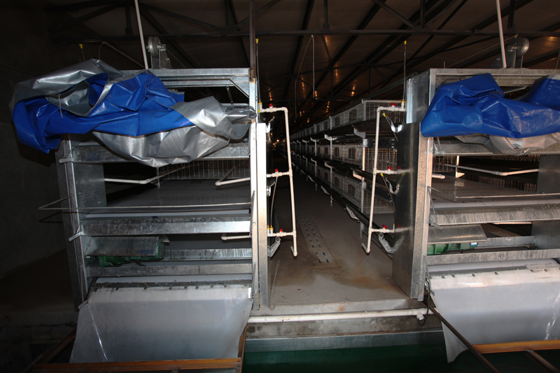 �Ԅ���Sϵ�y8