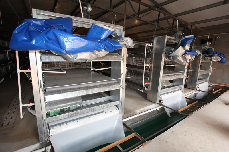 �Ԅ���Sϵ�y9